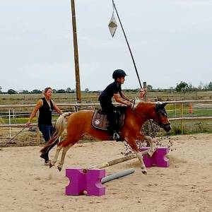 Stages vacances- Cocon du marais - Poney club