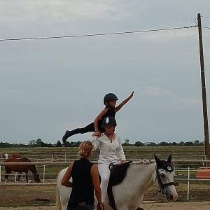 Stages vacances- Cocon du marais - Poney club