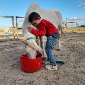 Équitation adaptée- Cocon du marais - Poney club