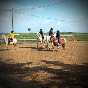 Stages vacances- Cocon du marais - Poney club