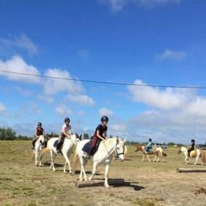 Accueil de groupes- Cocon du marais - Poney club