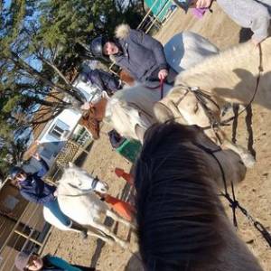 Stages vacances- Cocon du marais - Poney club