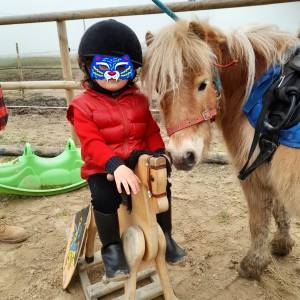 Stages vacances- Cocon du marais - Poney club