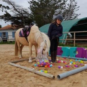 Stages vacances- Cocon du marais - Poney club