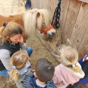 Stages vacances- Cocon du marais - Poney club