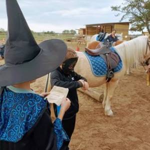 Événements toute l’année- Cocon du marais - Poney club