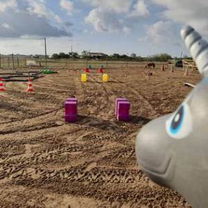 Événements toute l’année- Cocon du marais - Poney club